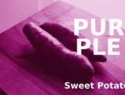 purple sweet potato health